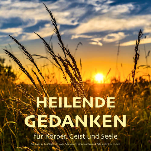 Hoerbuch Achtsamkeit im Alltag: Wie Achtsamkeit zu mehr Gelassenheit und Entspannung führt - Patrick Lynen - Stephan Müller