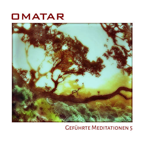 Hoerbuch Geführte Meditationen 5 - Omatar - Michael Flechsig