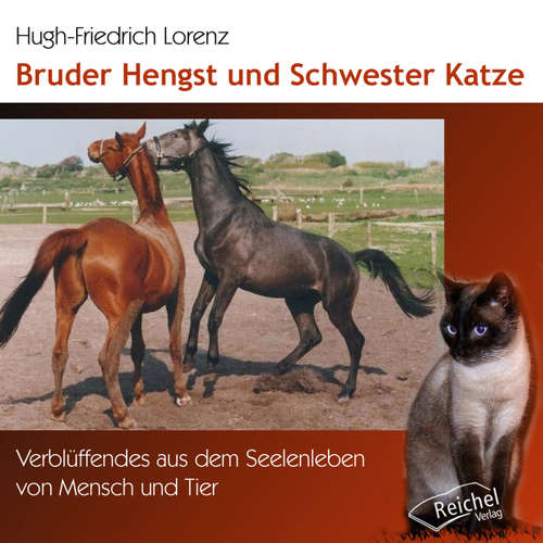 Hoerbuch Bruder Hengst und Schwester Katze - Hugh-Friedrich Lorenz - Petra Nacke