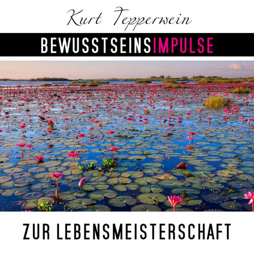 Hoerbuch Bewusstseinsimpulse zur Lebensmeisterschaft - Kurt Tepperwein - Kurt Tepperwein
