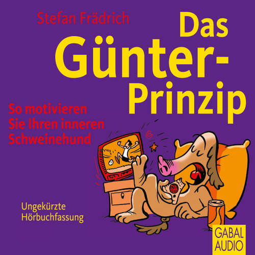 Hoerbuch Das Günter-Prinzip - Stefan Frädrich - Stefan Frädrich