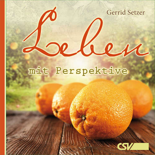 Hoerbuch Leben mit Perspektive - Gerrid Setzer - Matthias Henkel