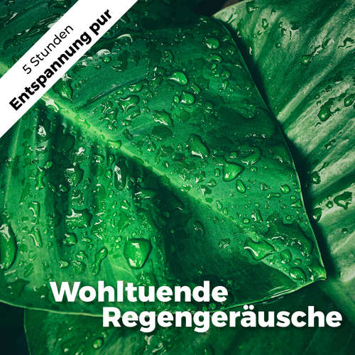 Hoerbuch Wohltuende Regengeräusche - Martin Melzer - Désirée Singson