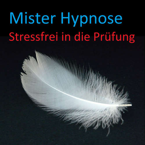 Hoerbuch Stressfrei in die Prüfung -  - Mister Hypnose