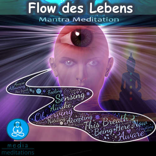 Hoerbuch Flow des Lebens - Cristian Tuerk - Cristian Tuerk
