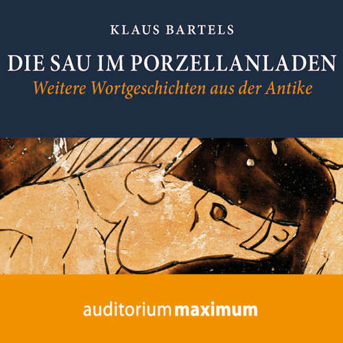 Hoerbuch Die Sau im Porzellanladen - Klaus Bartels - Wolfgang Schmidt Hoerbuch Die Sau im Porzellanladen - Klaus Bartels - Wolfgang Schmidt