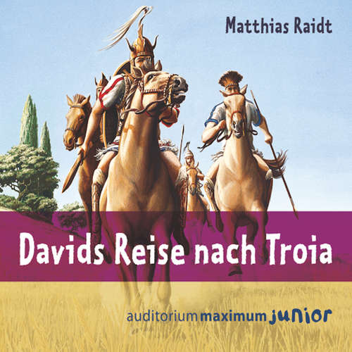 Hoerbuch Davids Reise nach Troia - Matthias Raidt - Wolfgang Schmidt Hoerbuch Davids Reise nach Troia - Matthias Raidt - Wolfgang Schmidt