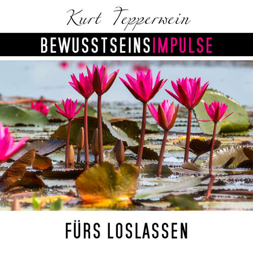 Hoerbuch Bewusstseinsimpulse fürs Loslassen - Kurt Tepperwein - Kurt Tepperwein