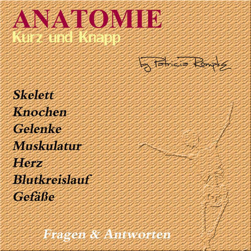 Hoerbuch Anatomie kurz und knapp - Patricia Römpke - Patricia Römpke
