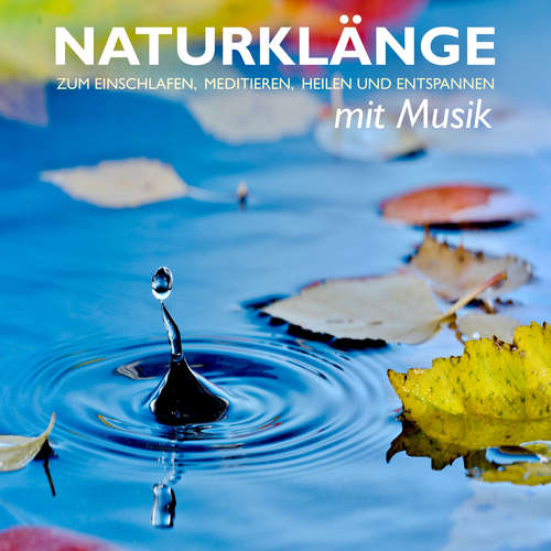 Hoerbuch Naturklänge mit Musik - zum Einschlafen, Meditieren, Heilen und Entspannen - Patrick Lynen - Patrick Lynen