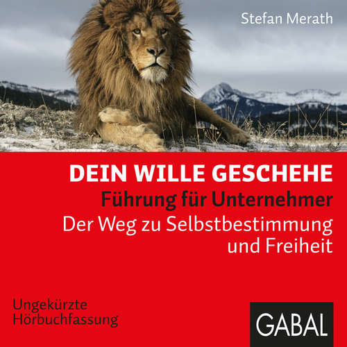 Hoerbuch Dein Wille geschehe - Stefan Merath - Heiko Grauel