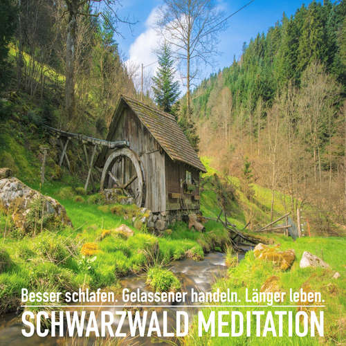 Hoerbuch DIE SCHWARZWALD MEDITATION: Spüre dich wieder und erlebe einzigartige Momente der Ruhe - Patrick Lynen - Stephan Müller