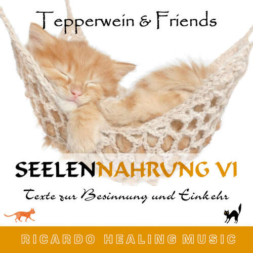 Hoerbuch Seelennahrung 6: Texte zur Besinnung und Einkehr (Tepperwein and Friends) - - Ricardo M