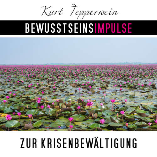 Hoerbuch Bewusstseinsimpulse zur Krisenbewältigung - Kurt Tepperwein - Kurt Tepperwein