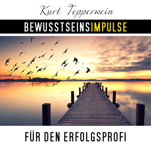 Hoerbuch Bewusstseinsimpulse für den Erfolgsprofi - Kurt Tepperwein - Kurt Tepperwein