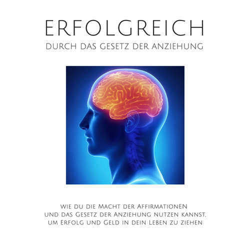 Hoerbuch Erfolgreich durch das Gesetz der Anziehung - Patrick Lynen - Patrick Lynen