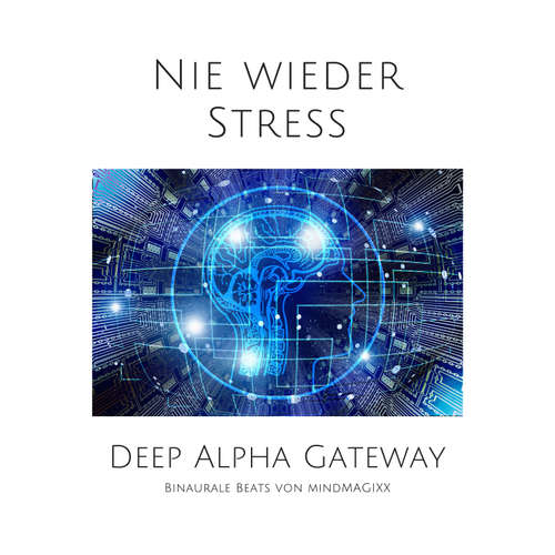 Hoerbuch Nie wieder Stress - Lennart Bloom-Grosse - Müller. Stephan