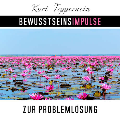 Hoerbuch Bewusstseinsimpulse zur Problemlösung - Kurt Tepperwein - Kurt Tepperwein