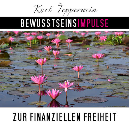 Hoerbuch Bewusstseinsimpulse zur finanzielle Freiheit - Kurt Tepperwein - Kurt Tepperwein