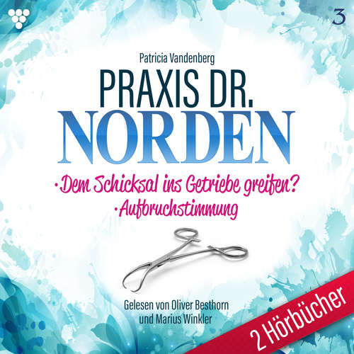 Hoerbuch Praxis Dr. Norden 2 Hörbücher Nr. 3 - Arztroman - Patricia Vandenberg - Oliver Besthorn