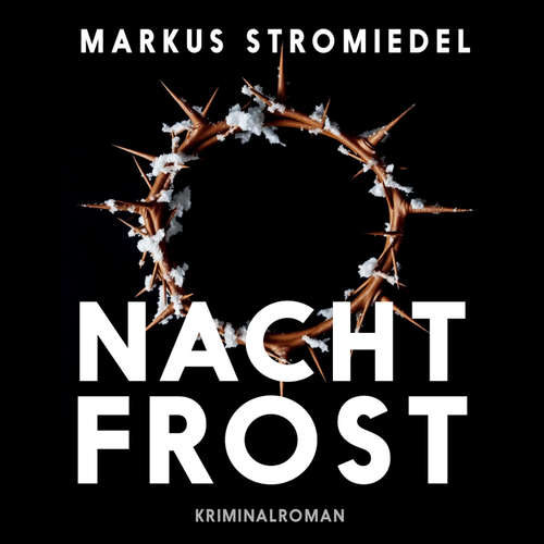 Hoerbuch Nachtfrost - Markus Stromiedel - Markus Stromiedel