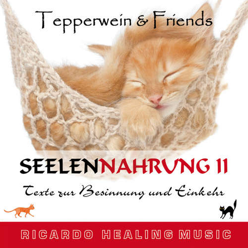 Hoerbuch Seelennahrung 2: Texte zur Besinnung und Einkehr (Tepperwein and Friends) - - Ricardo M