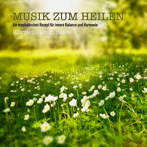 Hoerbuch Musik zum Heilen für Körper, Geist & Seele - Sound Healing Association - Stephan Müller