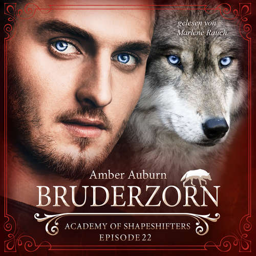Hoerbuch Bruderzorn, Episode 22 - Fantasy-Serie - Amber Auburn - Marlene Rauch