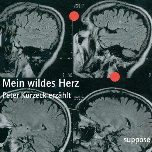 Hoerbuch Mein wildes Herz - Peter Kurzeck - Peter Kurzeck
