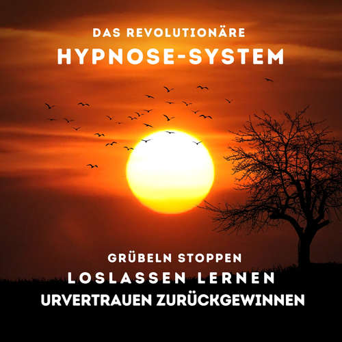 Hoerbuch Grübeln stoppen, Loslassen lernen, Urvertrauen zurückgewinnen - Patrick Lynen - Patrick Lynen