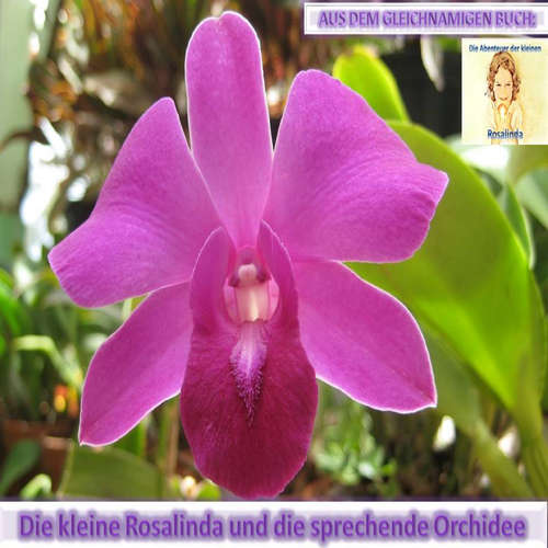 Hoerbuch Rosalinda und die sprechende Orchidee - Monika Schuberth - Monika Schuberth