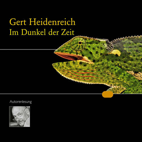 Hoerbuch Im Dunkel der Zeit - Gert Heidenreich - Gert Heidenreich