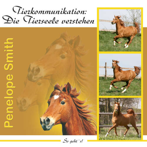 Hoerbuch Tierkommunikation: Die Tierseele verstehen - Penelope Smith - Petra Nacke