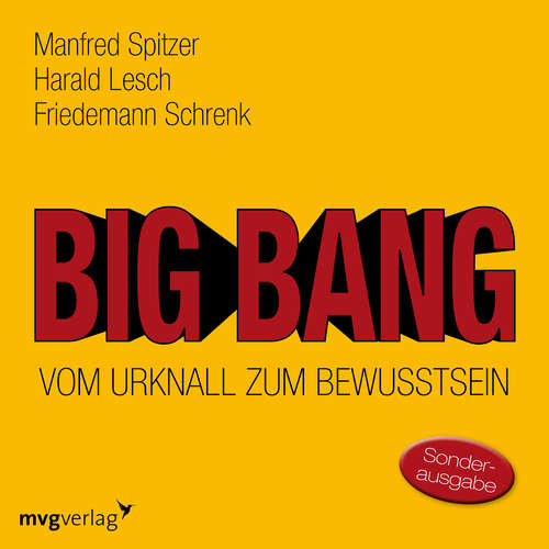 Hoerbuch Big Bang: Vom Urknall zum Bewusstsein - Manfred Spitzer - Manfred Spitzer