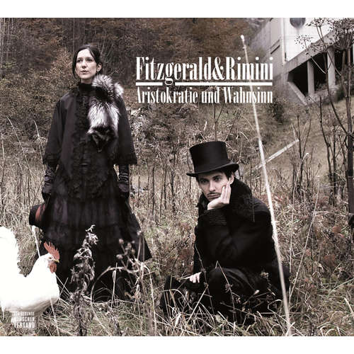 Hoerbuch Aristokratie und Wahnsinn - Elsa Fitzgerald - Semih Yavsaner