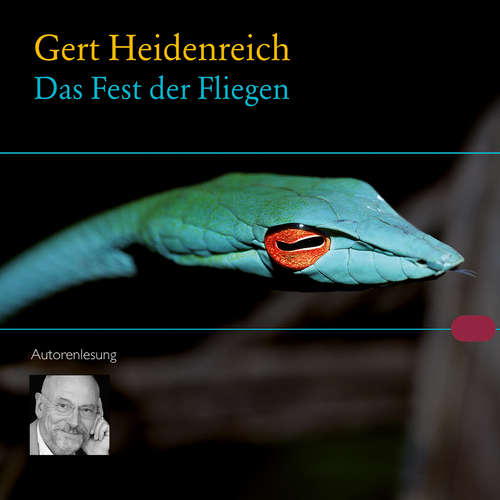 Hoerbuch Das Fest der Fliegen - Gert Heidenreich - Gert Heidenreich