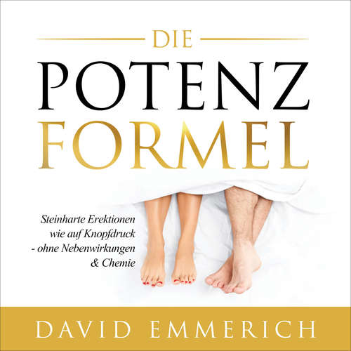 Hoerbuch Die PotenzFormel - David Emmerich - Sebastian Christ