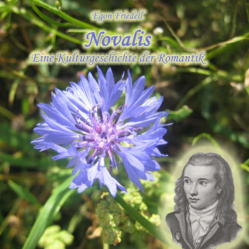 Hoerbuch Novalis - Egon Fridell - Jan Köster