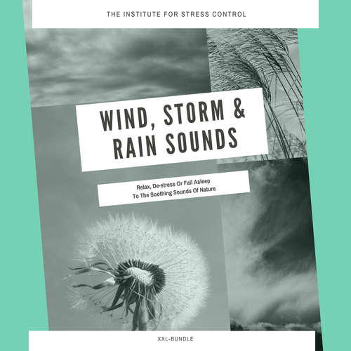 Audiobook Wind, Storm & Rain Sounds for Deep Sleep, Meditation, Relaxation - European Institute For Stress Control - European Institute For Stress Control