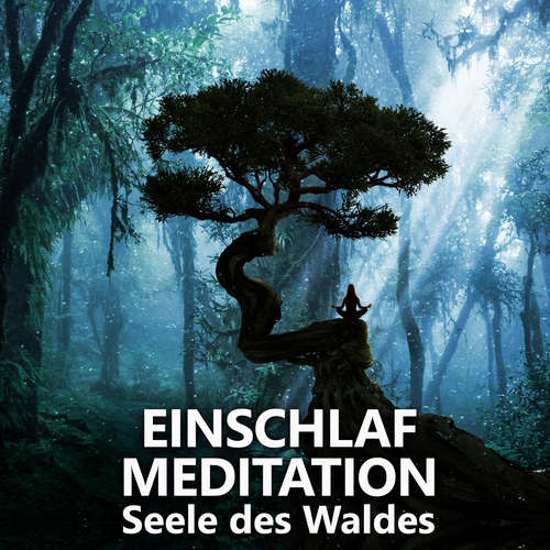 Hoerbuch Einschlafmeditation | Seele des Waldes - Raphael Kempermann - Raphael Kempermann