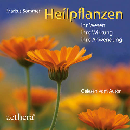 Hoerbuch Heilpflanzen - Markus Sommer - Markus Sommer