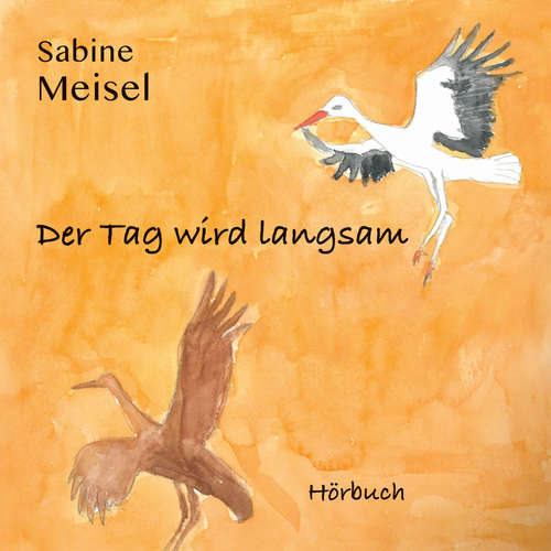 Hoerbuch Der Tag wird langsam - Sabine Meisel - Sabine Meisel