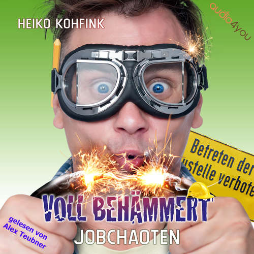 Hoerbuch Voll behämmert - Heiko Kohfink - Alex Teubner