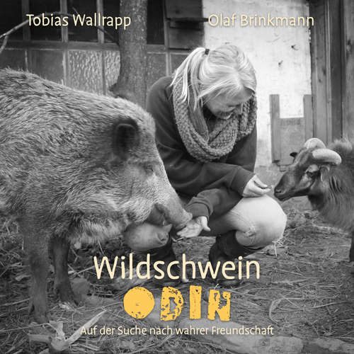 Hoerbuch Wildschwein Odin - Tobias Wallrapp - Olaf Brinkmann