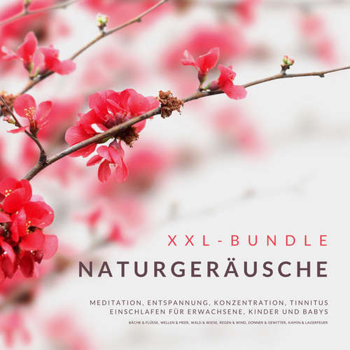 Hoerbuch XXL-Bundle: Naturgeräusche - Institut für Entspannungstechniken - Institut für Entspannungstechniken