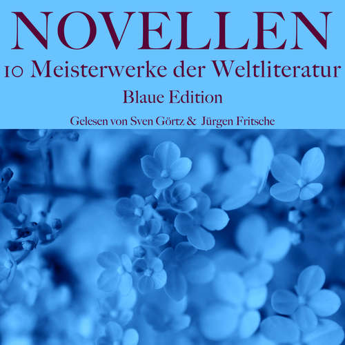 Hoerbuch Novellen: Zehn Meisterwerke der Weltliteratur - E. T. A. Hoffmann - Jürgen Fritsche
