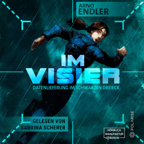 Hoerbuch Im Visier - Datenlieferung im Schwarzen Dreieck - Arno Endler - Sabrina Scherer
