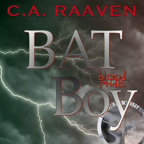 Hoerbuch BAT Boy 2 - C. A. Raaven - Christian Raabe