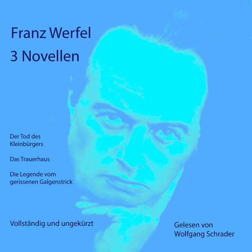 Hoerbuch 3 Novellen - Franz Werfel - Wolfgang Schrader