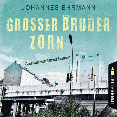 Hoerbuch Großer Bruder Zorn - Johannes Ehrmann - David Nathan